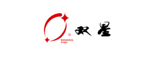  聚焦高分子材料，双星新材重磅亮相2026 LOUPE华南国际标签与包装印刷展览会