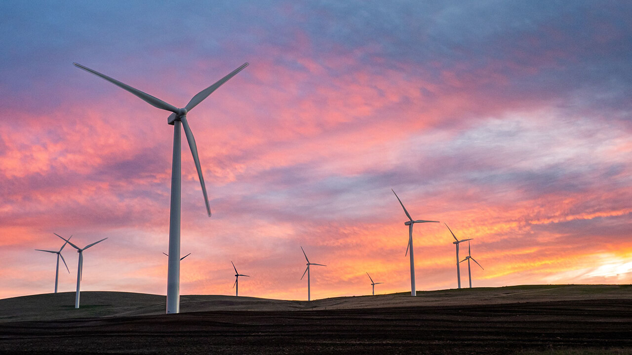 Sustainability